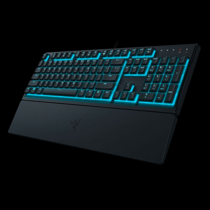 razer ornata esport
